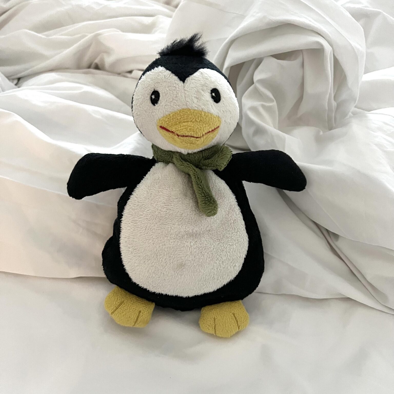 Lange Aufnahme: Helfen Sie mir, diesen Pinguin zu finden! Lange Aufnahme: Helfen Sie mir, diesen Pinguin zu finden!