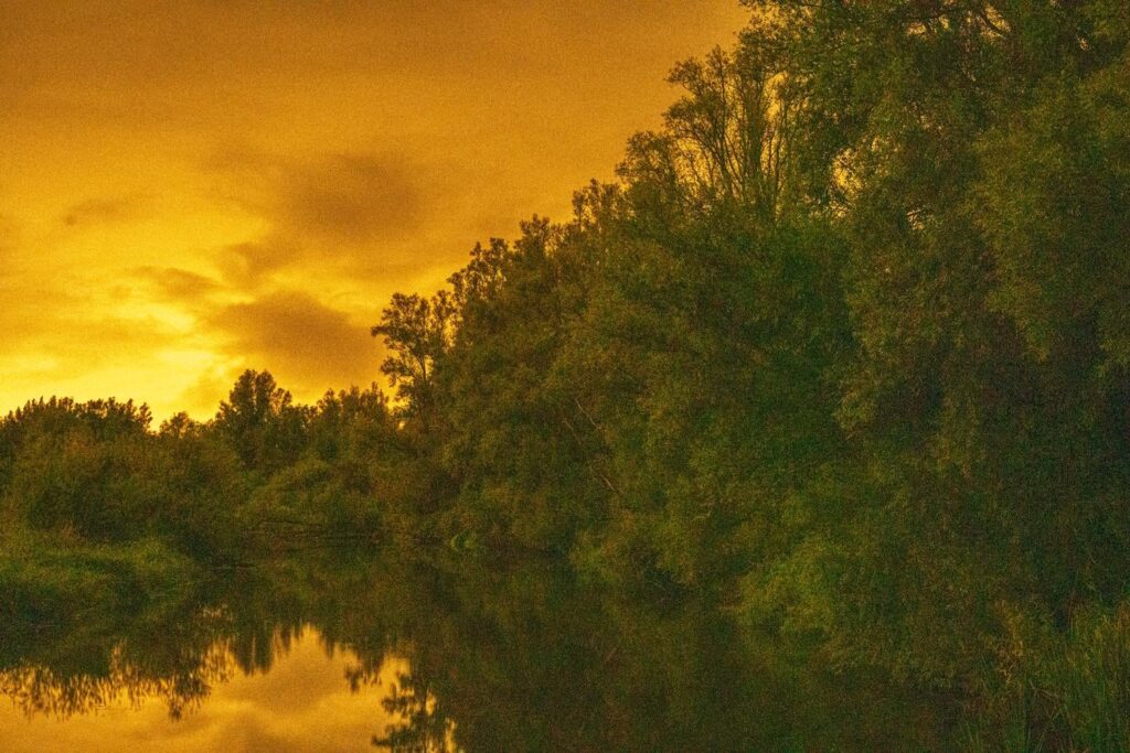 Fotografieren Sie in der Dämmerung, Nationalpark Nieuw Land
