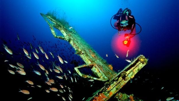 Schiffswracks aus der Normandie dienten als Zeitkapsel des Zweiten Weltkriegs – heute beherbergen sie vielfältiges Leben auf dem Meeresboden