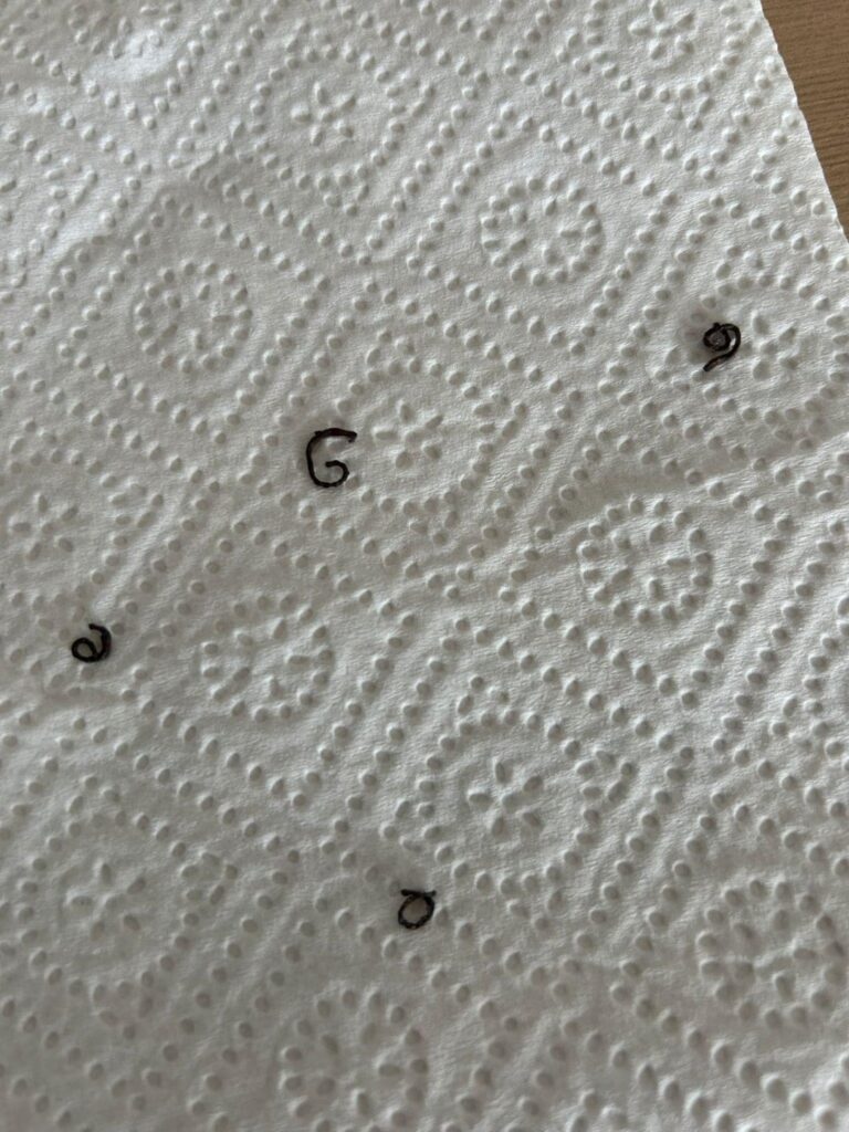 Was ist das? Was ist das?