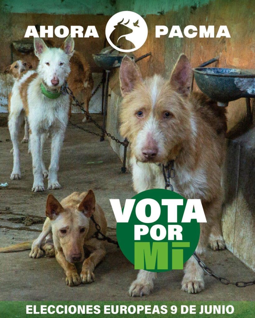 STIMMEN SIE FÜR PACMA. Er ist nur noch wenige Stimmen davon entfernt, seinen ersten Sitz zu erreichen und diejenigen zu verteidigen, die sich nicht verteidigen können