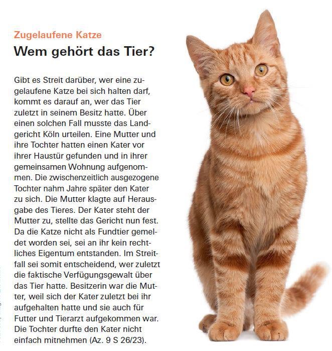 Ist das in Deutschland üblich?