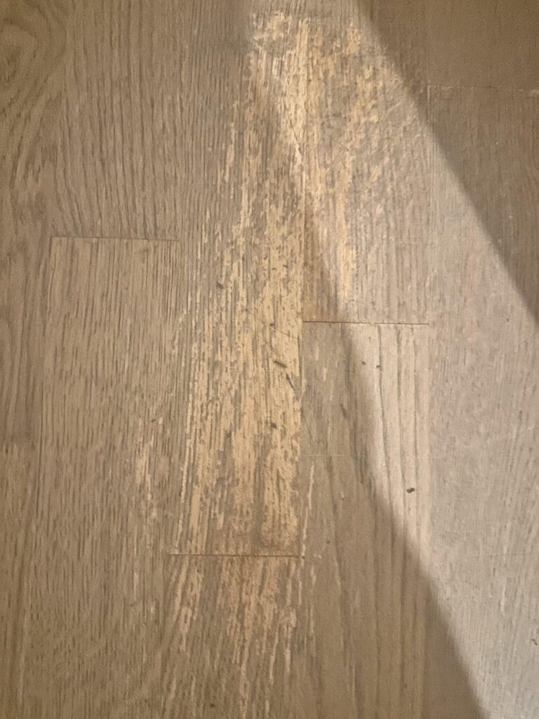 Was ist das für ein Fleck auf dem Boden? Was ist das für ein Fleck auf dem Boden?
