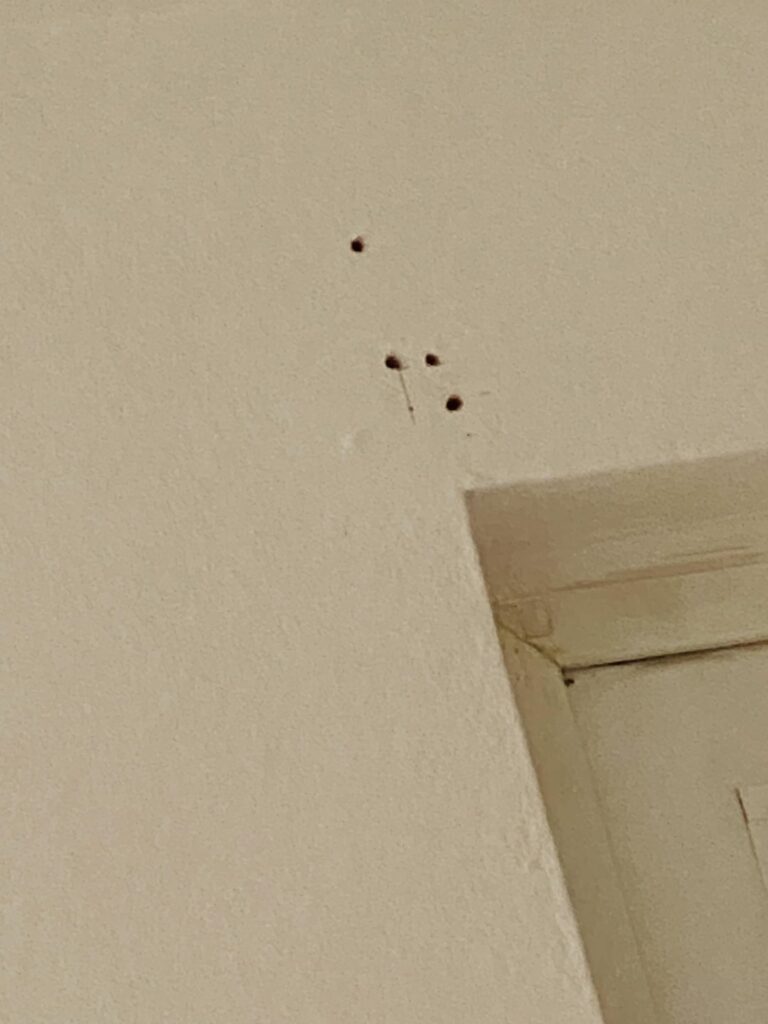 Warum kann ich kein Loch in meine Wand bohren? Warum kann ich kein Loch in meine Wand bohren?