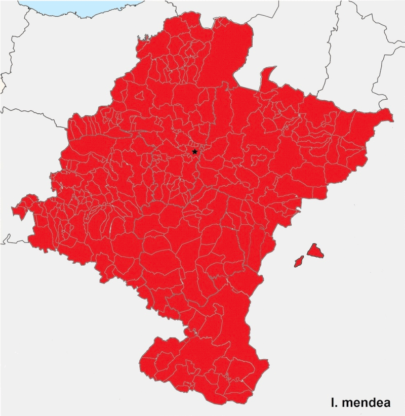 Die baskische Sprache in Navarra in den letzten zweitausend Jahren