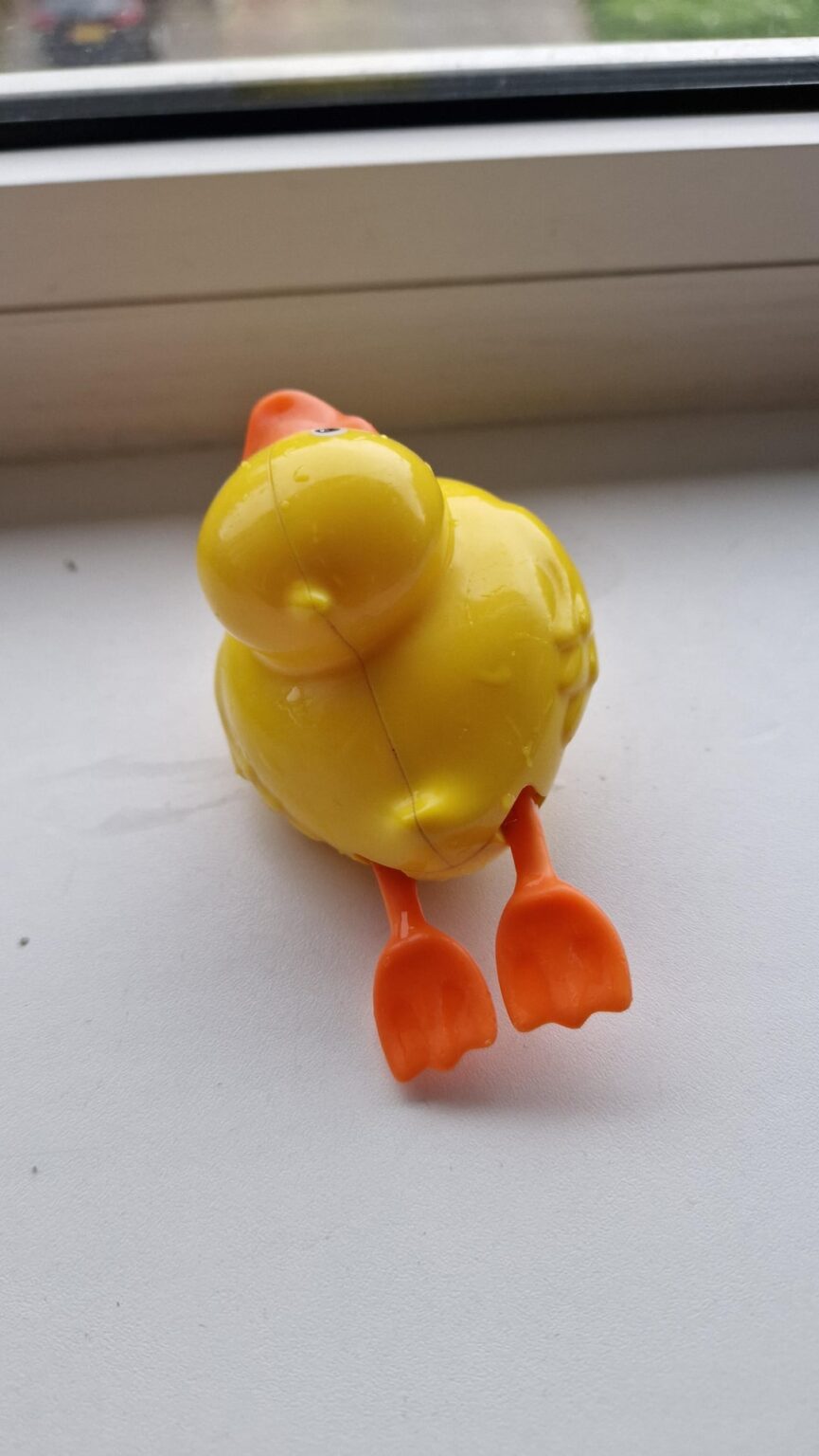 Kannst du mir helfen, die Ente zu finden? Kannst du mir helfen, die Ente zu finden?