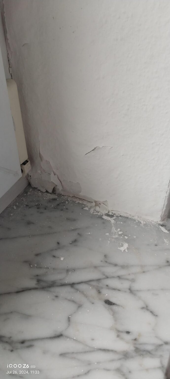 Probleme mit der Wandfarbe Probleme mit der Wandfarbe