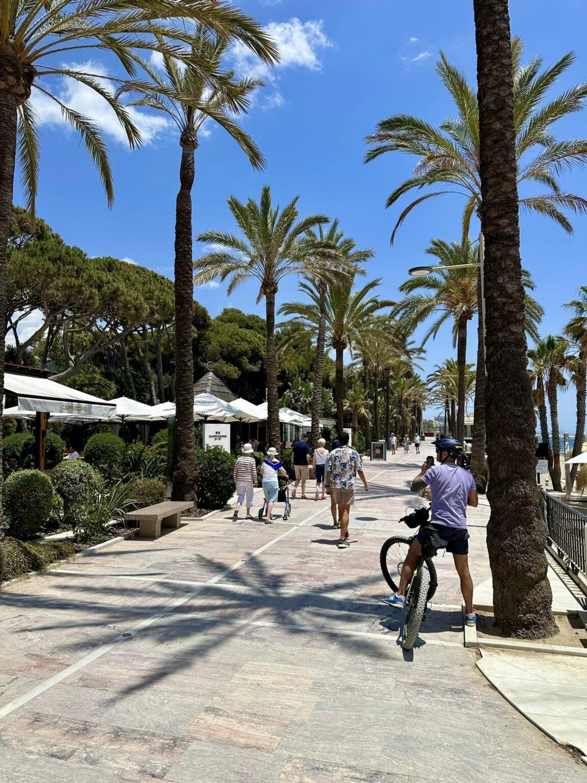 Ich bin neidisch auf die Leute, die hier geboren wurden. Warum bist du im Paradies aufgewachsen?