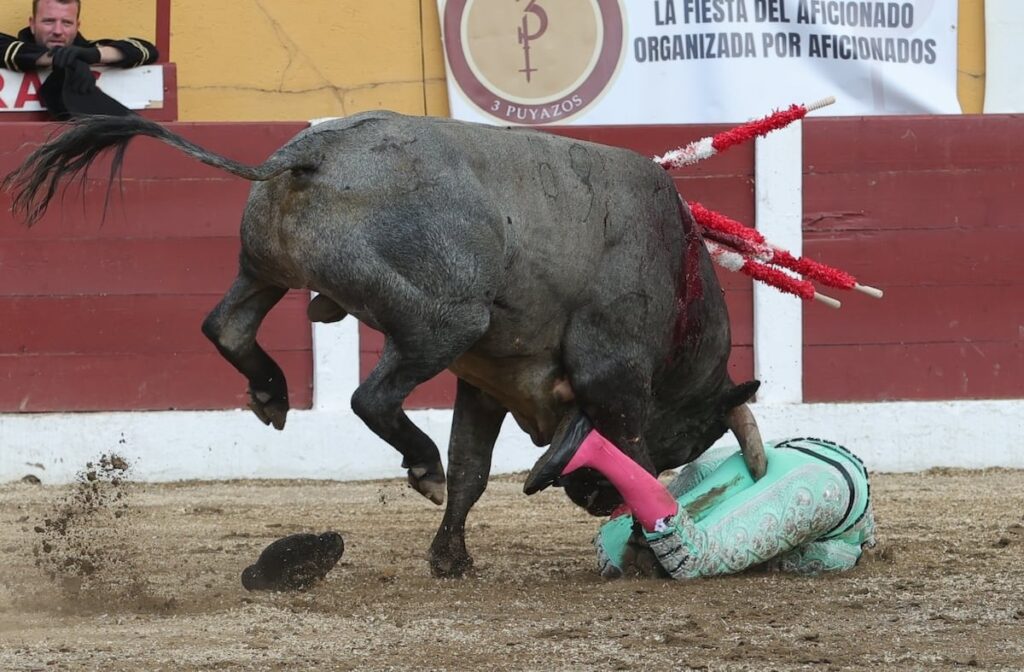 Schwerer Angriff auf den Banderillero José Mora