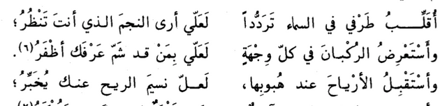 Abu Bakr al-Turtushi (von Tortosa), 1059 – 1126. Jurist aus Al-Andalus ... und schrieb von Zeit zu Zeit Gedichte.