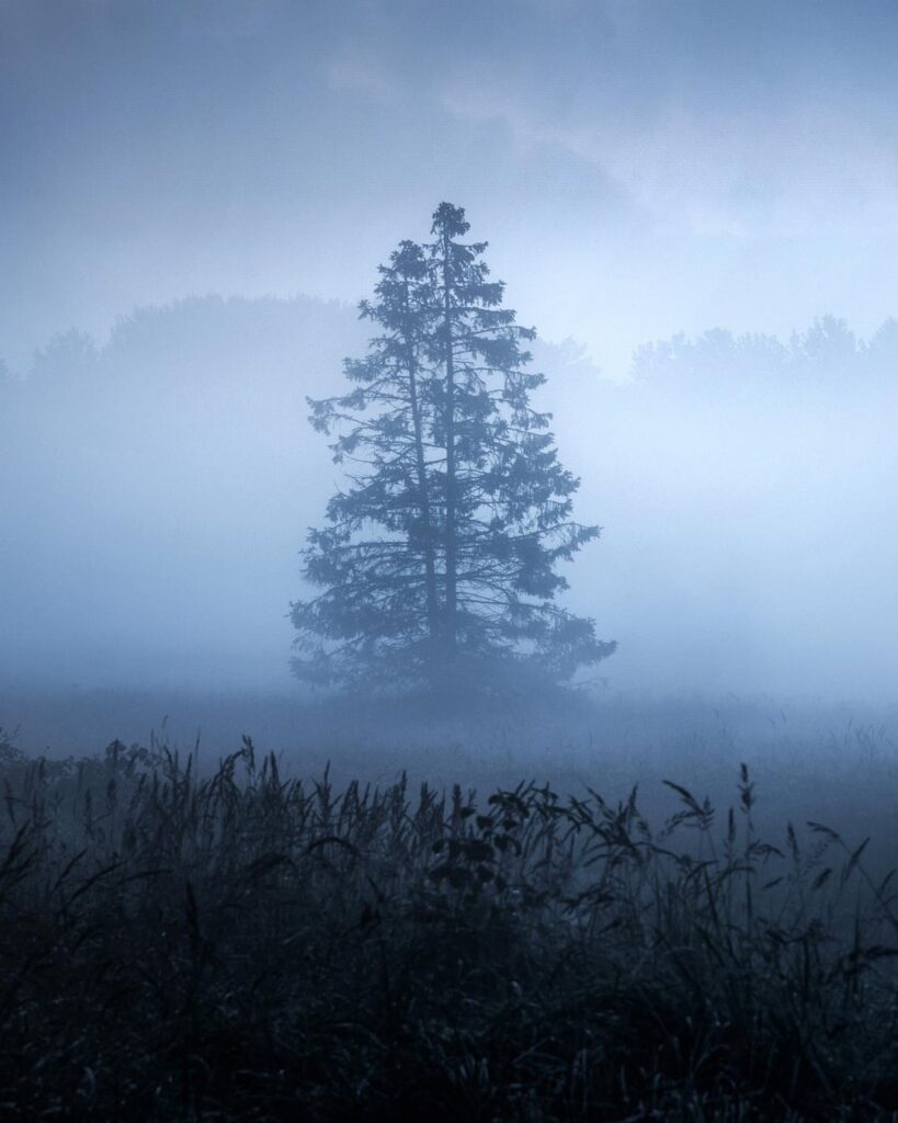 Einige neblige Bilder, die ich in Schweden gemacht habe.