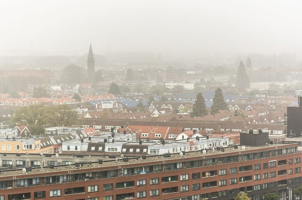 Durch die Regulierung des freien Sektors trennt sich die Spreu vom Weizen