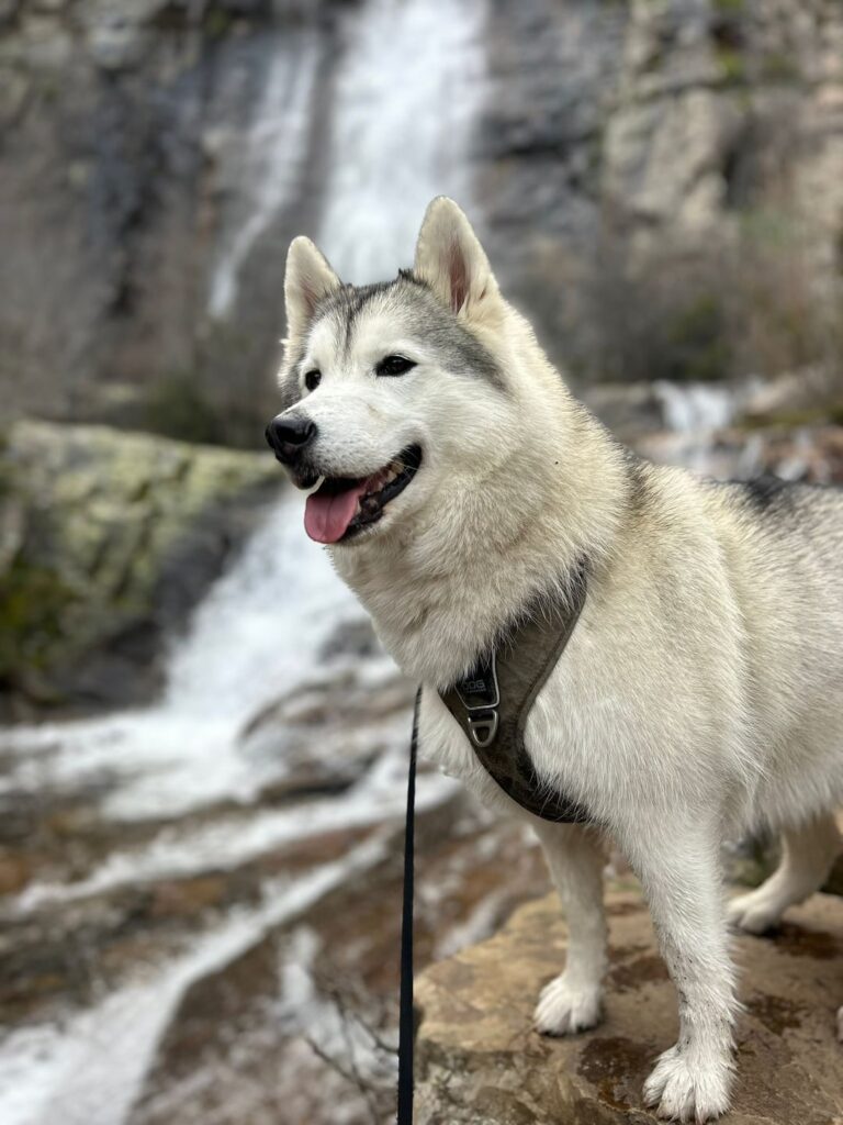 Hübsches Mädchen in Valverde de los Ríos