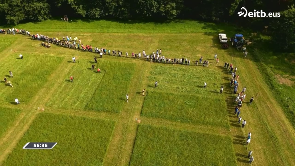 Das Schneiden von Gras für das Vieh ist eine alltägliche Aufgabe. Es muss so schnell wie möglich erledigt werden, damit es nicht durch Regen verdirbt. Natürlich wurde es zu einem Sport. In ganz Europa gibt es Grasschneidewettbewerbe, wie hier im Baskenland. Gewinner ist, wer in einer bestimmten Zeit am meisten mäht. 21.07.2024