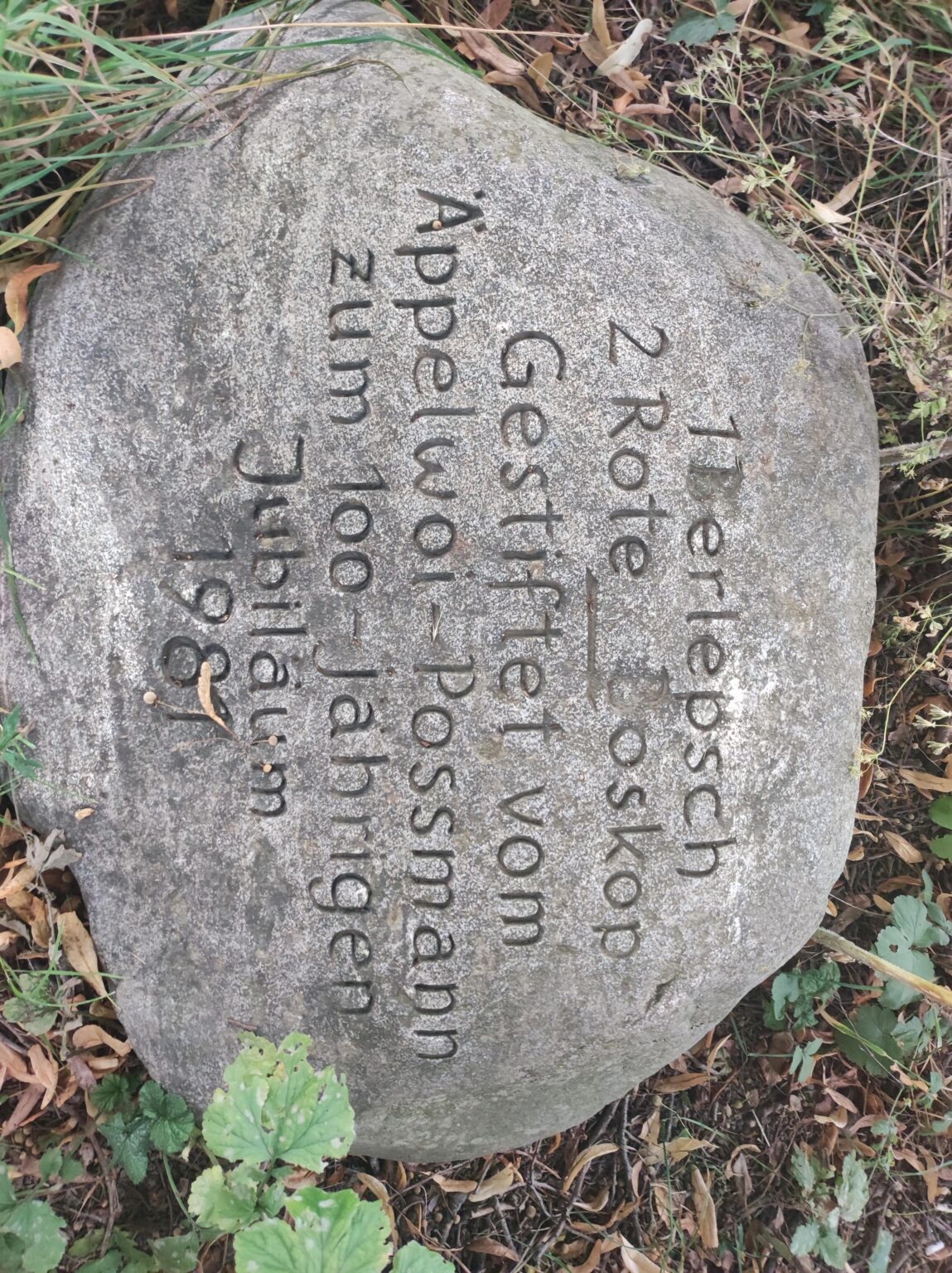 Hallo, liebe Deutsche, könnt ihr mir bei dieser Übersetzung helfen?