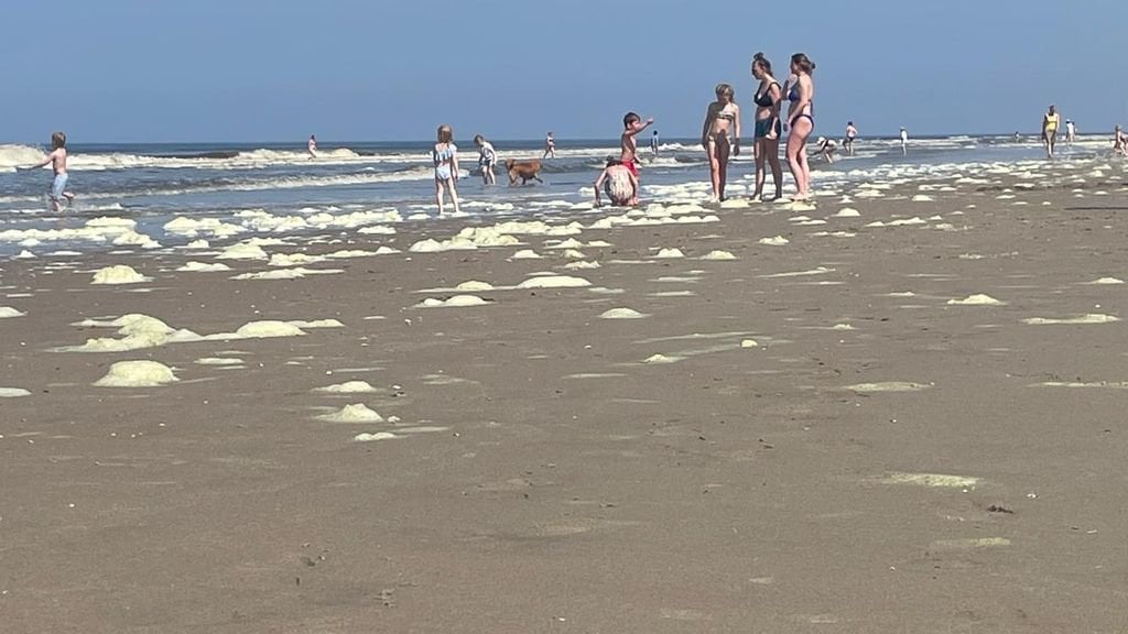 Hinweis verschärft: Spielen Sie nicht im Meeresschaum, aber Strandbesucher wissen nichts davon