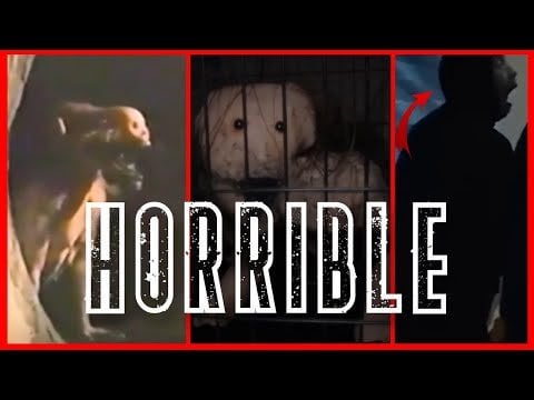 Ich hinterlasse Ihnen ein neues Video namens „10 Videos aus dem Deep Web“.