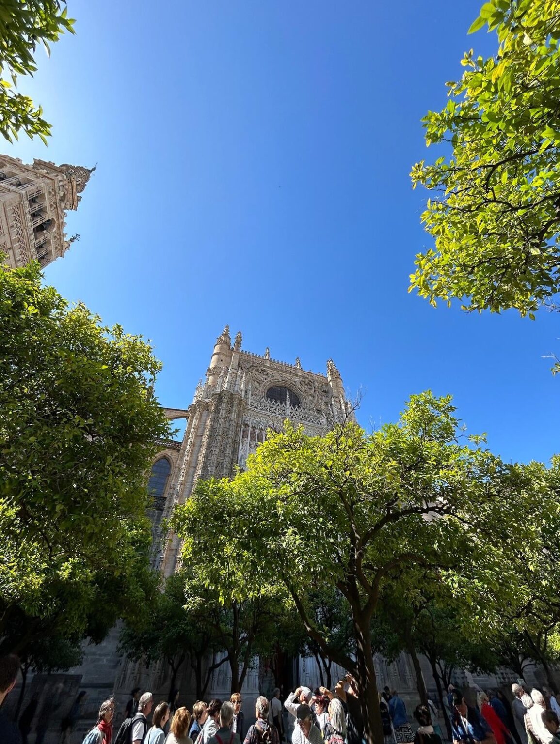 Kathedrale