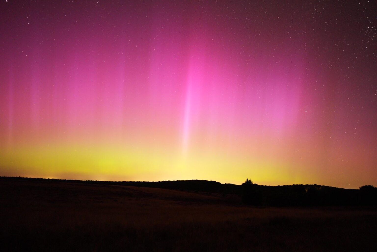 Aurora in Lüneburger Heide