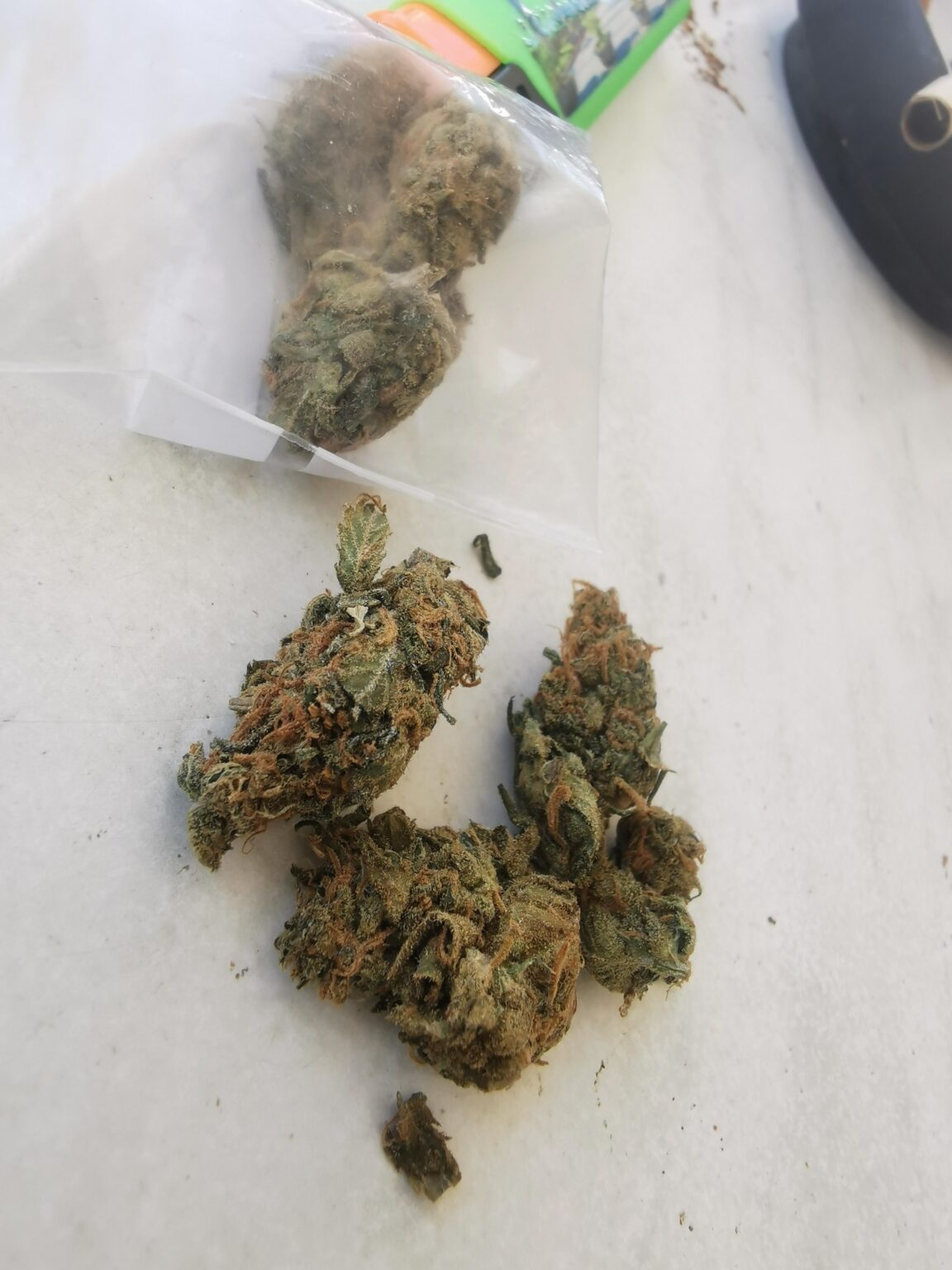 Spanien Salou Cannabisführer Spanien Salou Cannabisführer