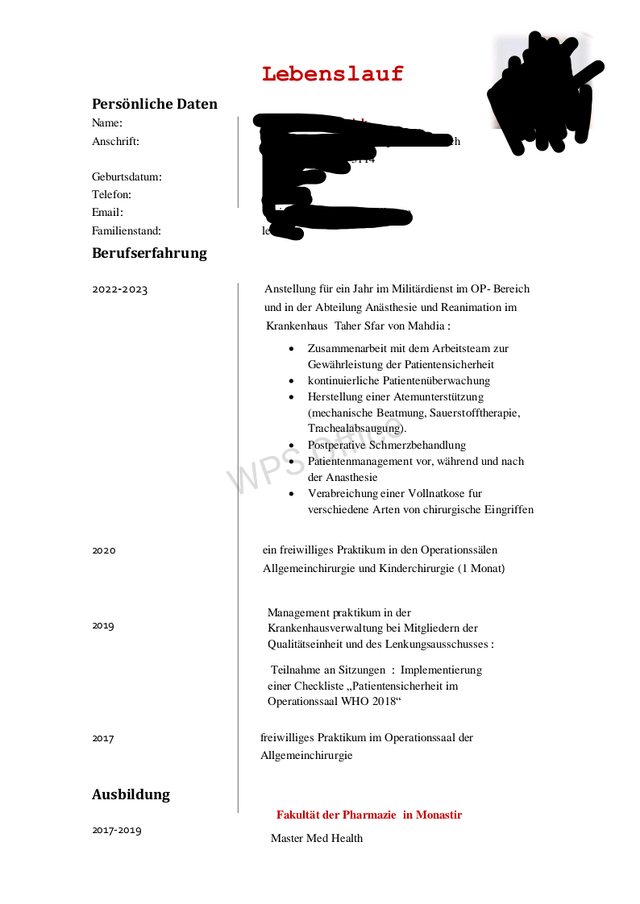 Kann jemand diesen Lebenslauf überprüfen 🤗