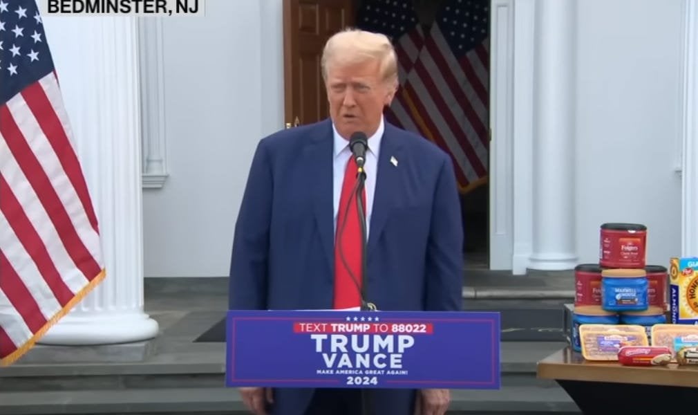 Trump warnt vor einer schrecklichen, dystopischen Zukunft, in der „jeder eine Krankenversicherung bekommt“
