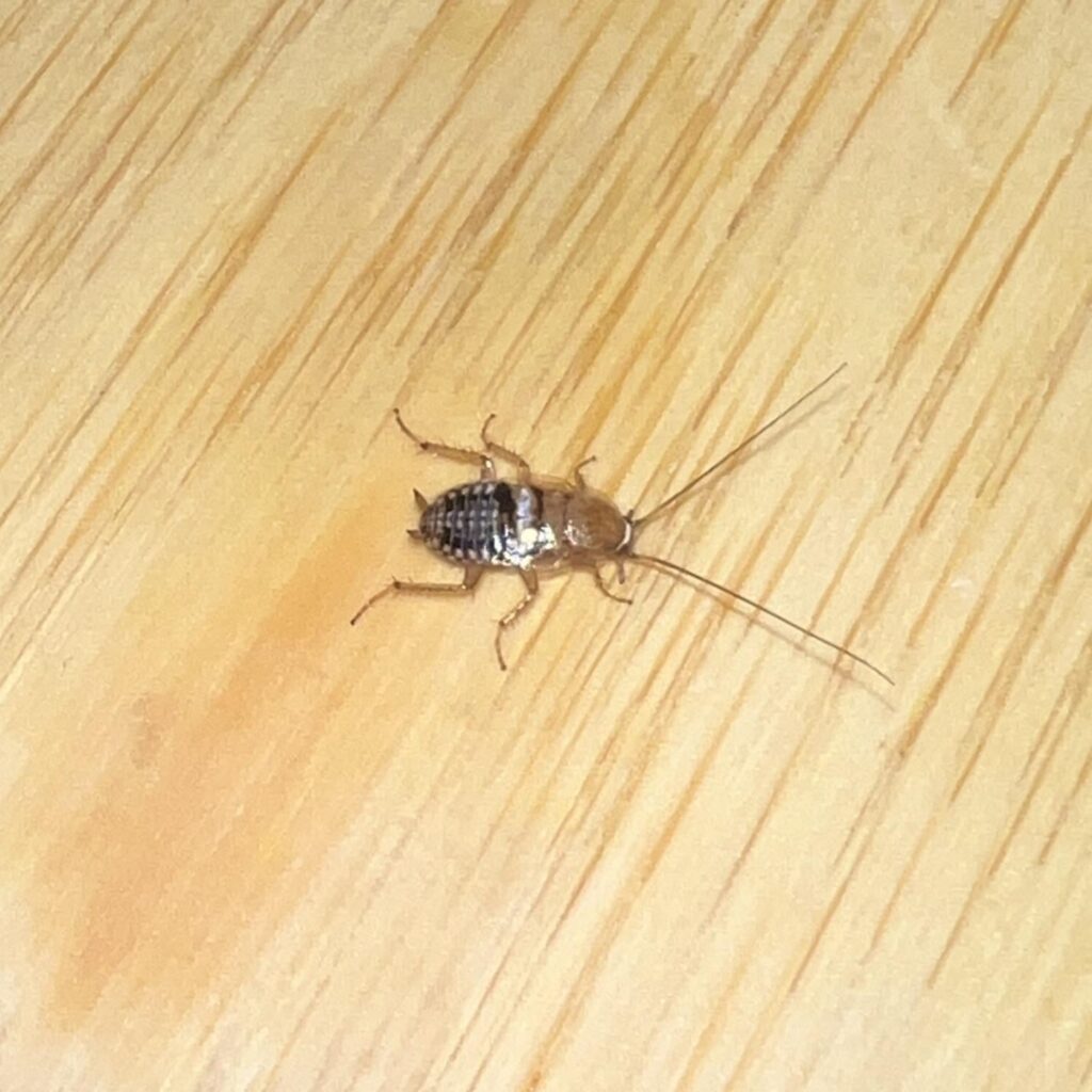 Kann sich jemand identifizieren? Kann sich jemand identifizieren?