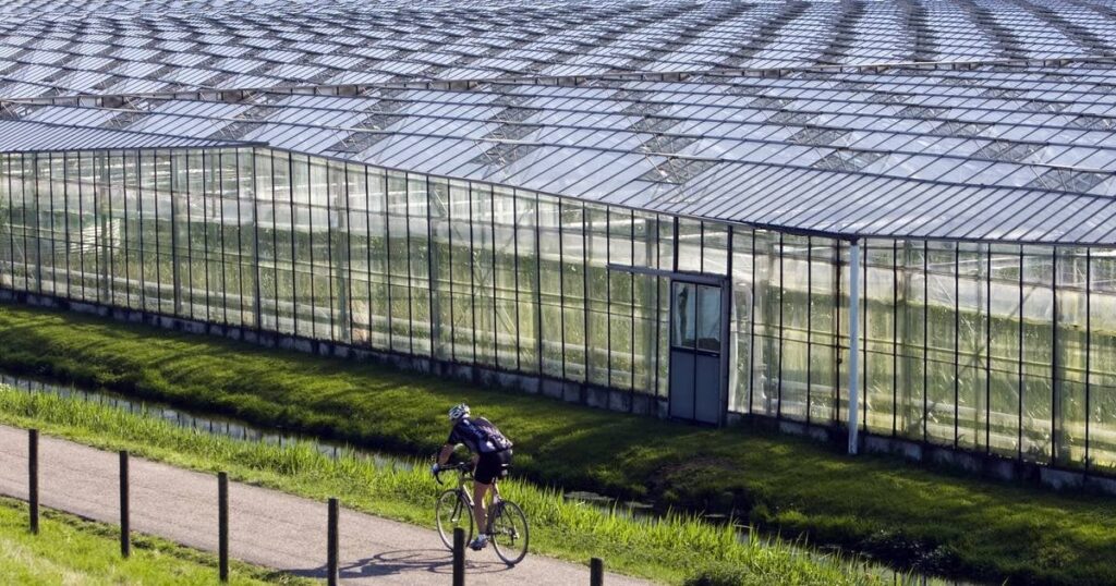 Giftig und krebserregend: Gartenbauer scheiden 6.000-mal so viel verbotene Substanz aus wie erlaubt
