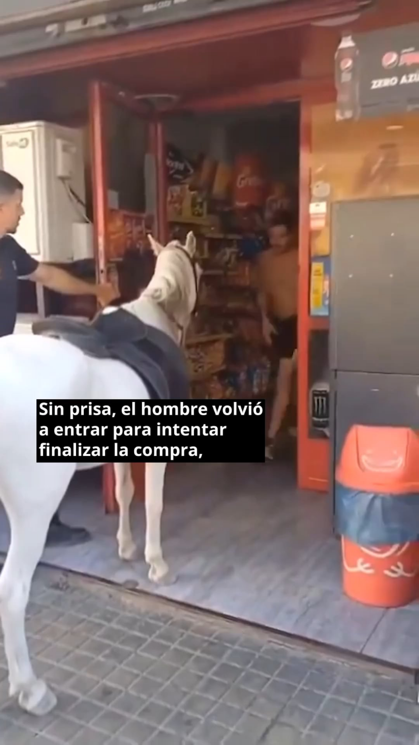 Die Polizei in Elche wirft einen Mann aus einem Geschäft, weil er mit einem Pferd hineingegangen ist