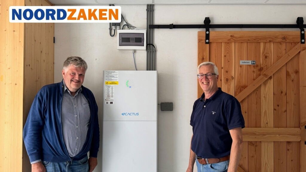 Wie viel profitieren Sie als Besitzer von Solarmodulen von einer Heimbatterie?