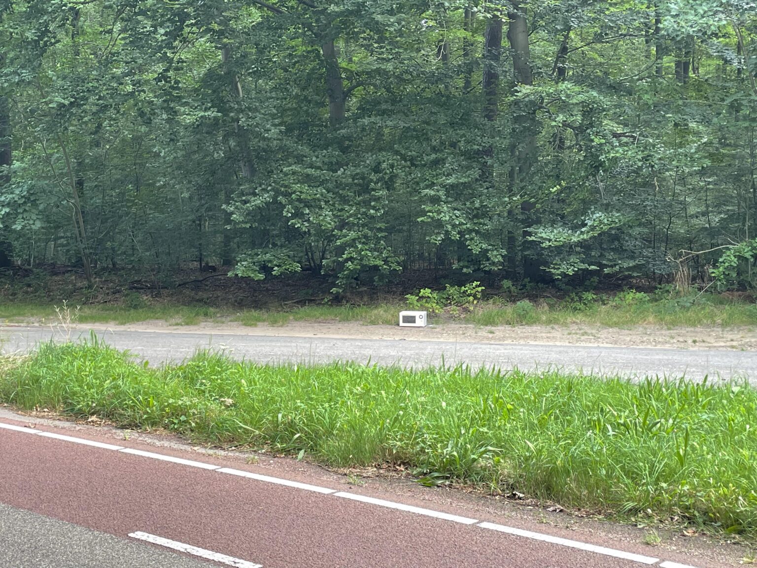 Oh Mikrowelle des Waldes, erzähl mir deine Geheimnisse