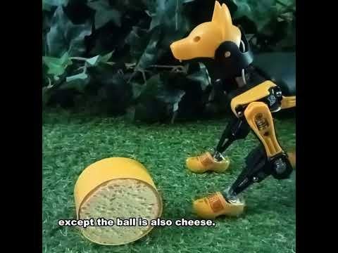 Eine sehr genaue Einführung in die Niederlande mit meinem Roboterhund
