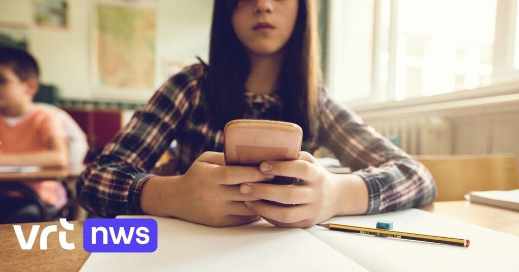 Teurere Leistungsgutscheine und keine Smartphones in der Grundschule: Das wissen wir bereits über die Pläne der neuen flämischen Regierung