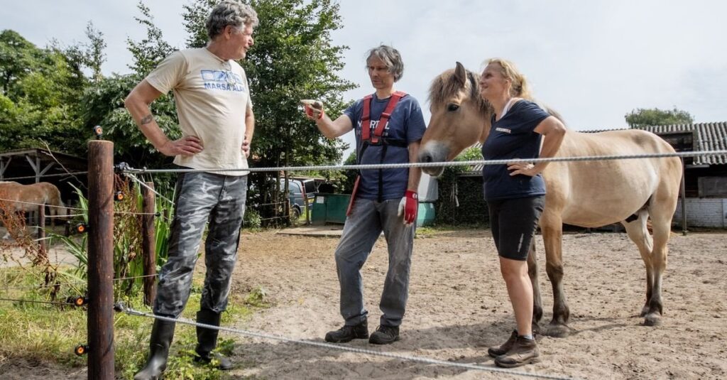 Ökologe Rick van Malssen: „Wer seine Tiere nicht vor dem Wolf schützt, sollte keine Entschädigung erhalten“ Ökologe Rick van Malssen: „Wer seine Tiere nicht vor dem Wolf schützt, sollte keine Entschädigung erhalten“