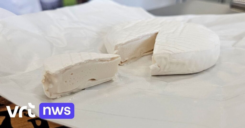 Ein Biotechnologieunternehmen aus Gent stellt als erstes Käse her, für dessen Herstellung keine Kühe verwendet werden. Ein Biotechnologieunternehmen aus Gent stellt als erstes Käse her, für dessen Herstellung keine Kühe verwendet werden.