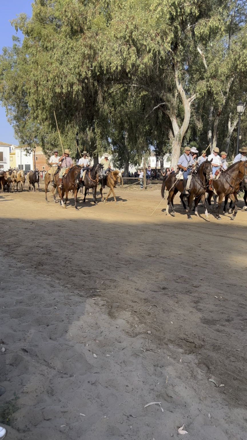 Traditionelle Pferdeshow in El Rocío!