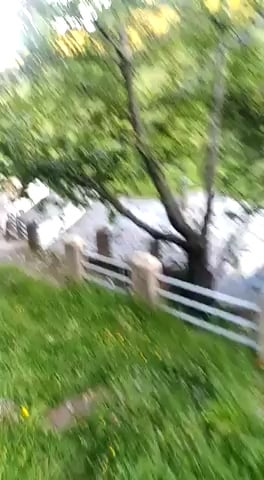 Ein Bär in der Wüste (Ibias, Asturien). Auf der Iberischen Halbinsel gibt es zwei Bärenpopulationen: eine in den Pyrenäen, die aus einer kleinen importierten slowenischen Population besteht (die einheimische Unterart wurde vom Menschen getötet), und eine im Kantabrischen Gebirge, die noch immer einheimisch ist.