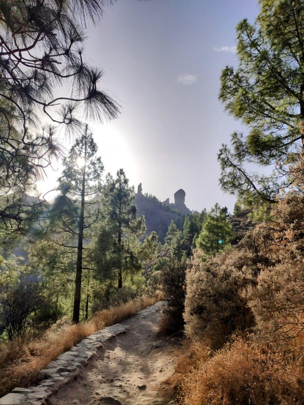 Ansichten von Roque Nublo und Roque Monje (Gran Canaria)