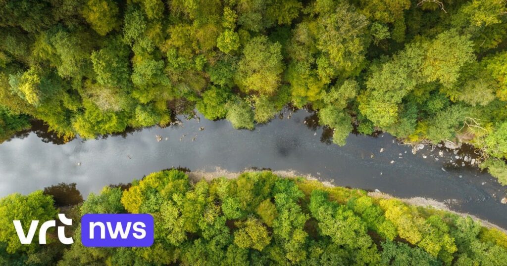 Die Europäische Kommission hat es satt, auf Belgiens Klimapläne zu warten und leitet ein Vertragsverletzungsverfahren ein