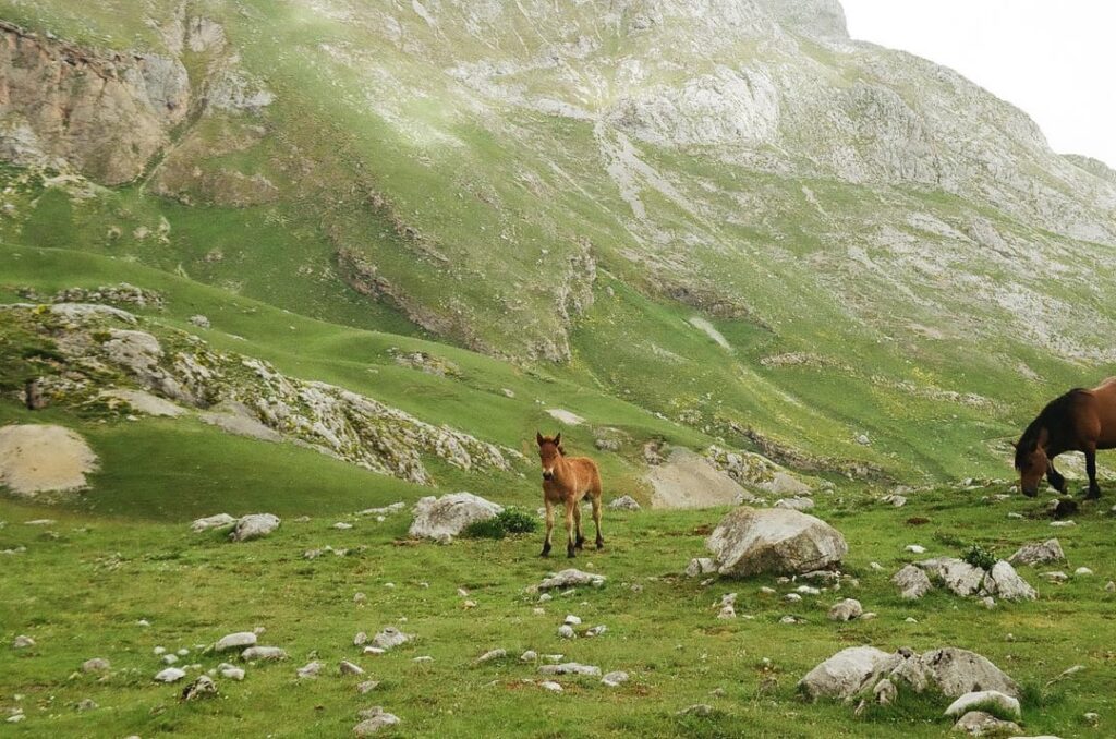 Noch ein paar Fotos von meiner Reise in den Norden des Landes.