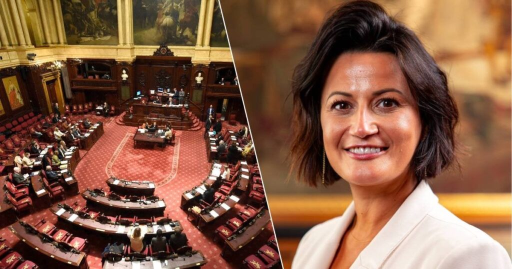 Senat pumpt 13,5 Millionen Euro an Mitarbeiter politischer Parteien: „In anderen Ländern verboten“