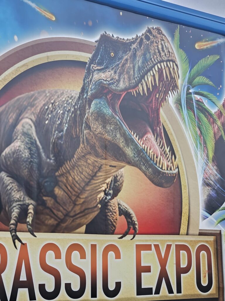 Die Dino-Ausstellung in Sint-Truiden. Für diejenigen, die Interesse haben: Gehen Sie in ein Museum, was für ein Betrug. Die Dino-Ausstellung in Sint-Truiden. Für diejenigen, die Interesse haben: Gehen Sie in ein Museum, was für ein Betrug.