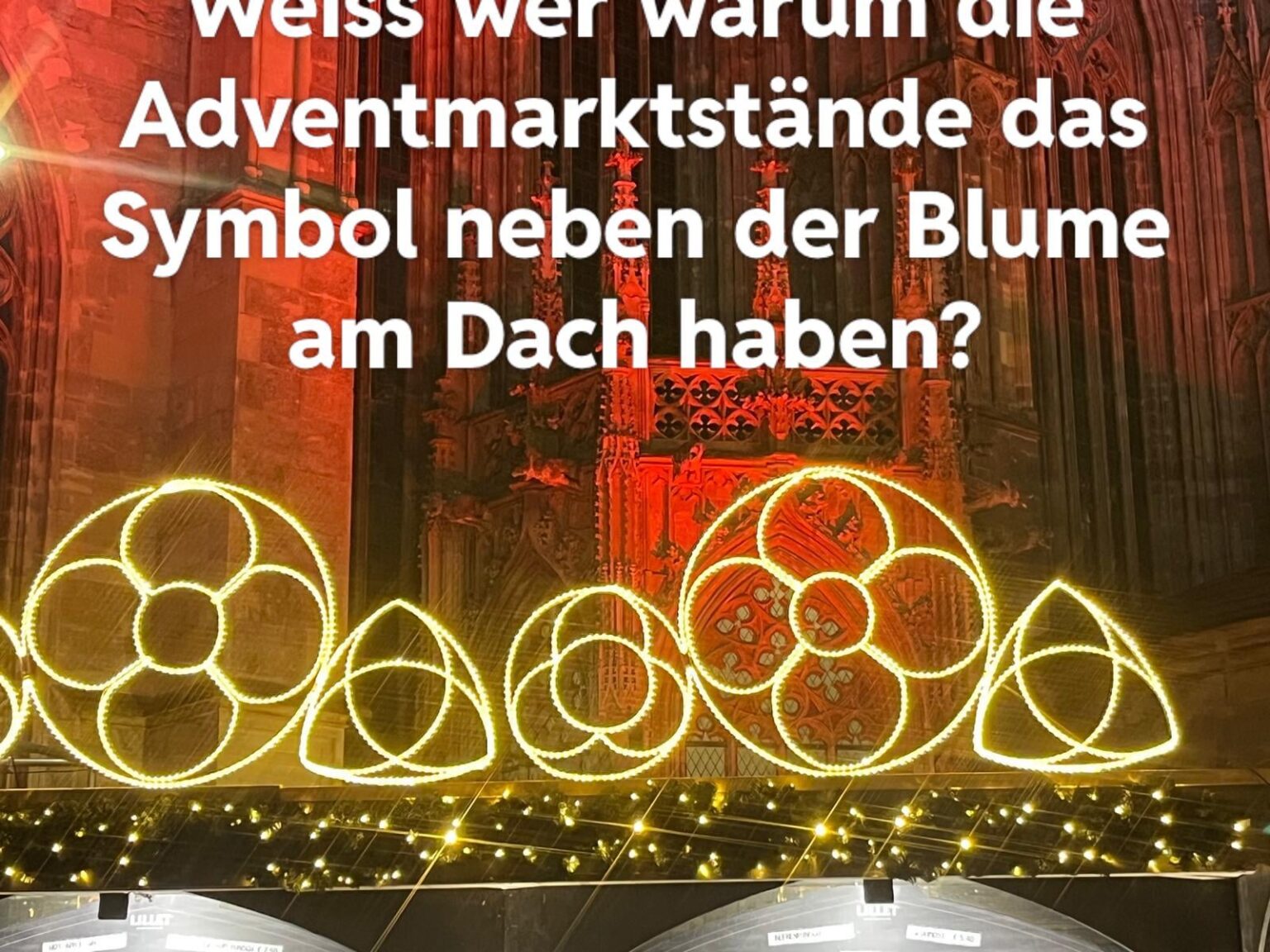 Wofür steht das Symbol neben der Blume?