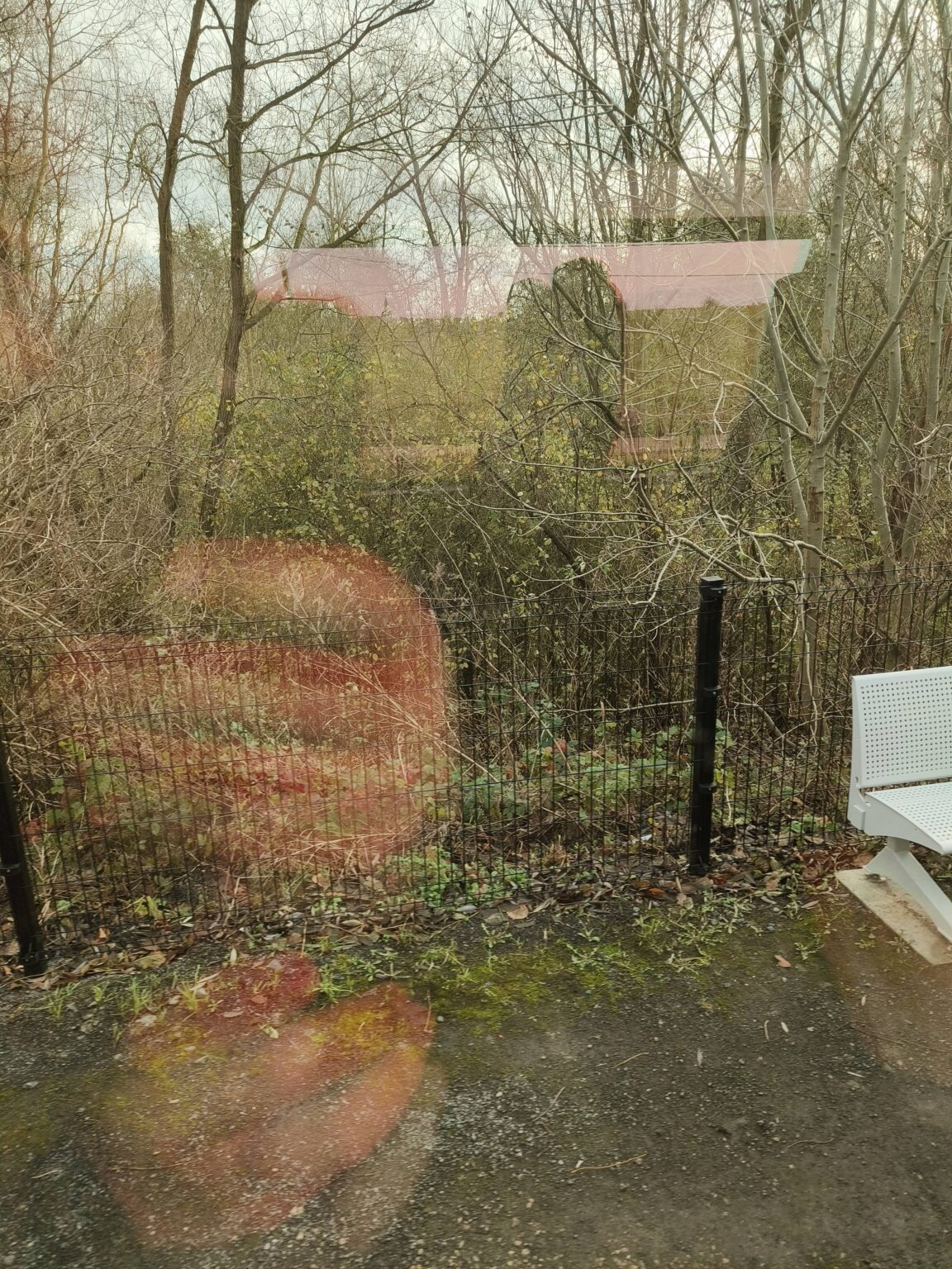 Vermisst jemand in Eichem eine graue Katze?