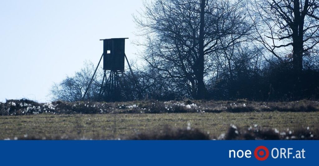 Jäger schießt versehentlich Pony - kann ja mal passieren