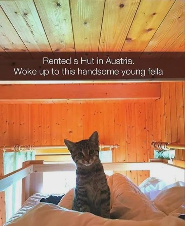 Grundlegende menschliche Bedürfnisse