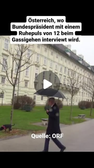 Unser Bundespräsident oder wie man in der Politik entspannt bleiben kann