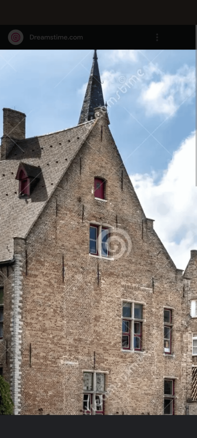 Liebe Leute in Belgien, was sind die vertikalen schwarzen Linien auf den Gebäuden, die ich in Brügge gesehen habe?
