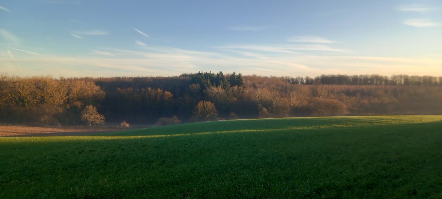 Ich habe Angst