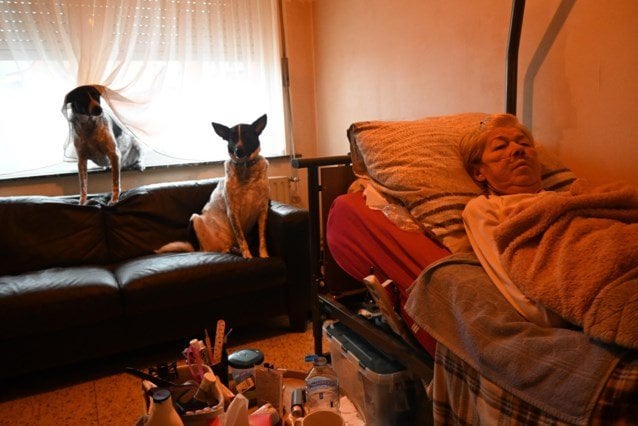 Die todkranke Gisèle (67) sucht einen Besitzer für ihre beiden Hunde: „Mein letzter Wunsch, erst dann werde ich mich für Euthanasie entscheiden“